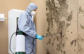 Asbestos and Lead Testing During Mold Inspection in Schenectady, NY